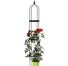 Rosenkletterhilfe aus Metall mit Rose im Topf