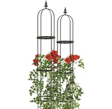 Zwei Pflanzstützen mit roten Rosen