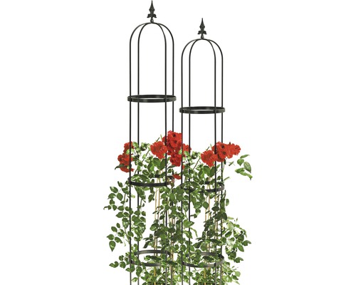 Zwei Pflanzstützen mit roten Rosen