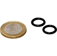 Dichtung JBL CP 120/250 für Anschlussfitting 2 Stück