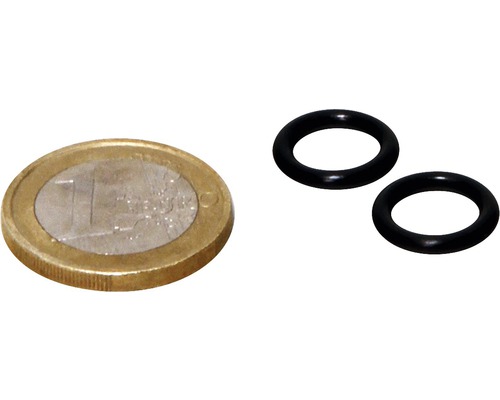 Dichtung JBL CP 120/250 für Anschlussfitting 2 Stück