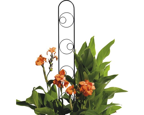 Blumenklettergerüst mit runden Dekorationen im Garten