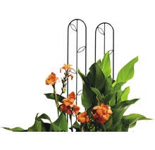 Climatisspalier Tabac Lava-Grau