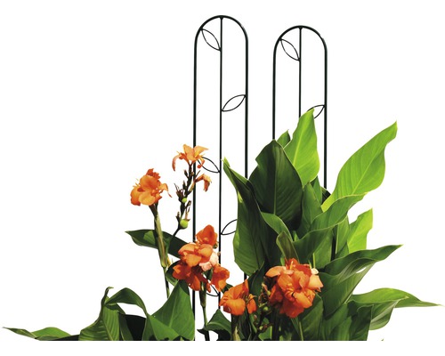 Zwei Rankhilfen aus Metall mit Orangenfarbigen Blüten und grünen Blättern.