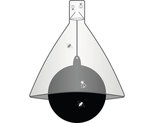 Fliegenfalle mit mehreren Fliegen