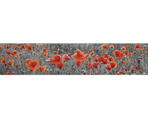 Küchenrückwand mySpotti Splash Poppy Blumen 2800 x 600 mm SP-F2-1257