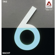 Hausnummer 6 Nachtleuchtend glow in the Dark selbstleuchtend
