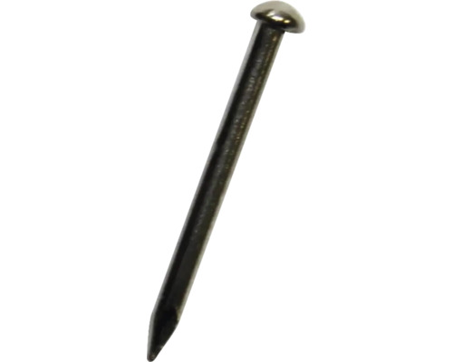 Rundkopfstifte 1,0 x 12 mm vernickelt, 250 Stück Einzelner Stahlnagel mit flachem Kopf