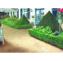 Gartenweg mit Pflastersteinen und geschnittenen Hecken