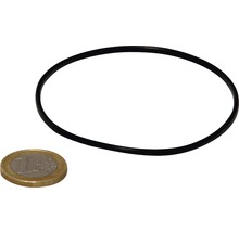 Schwarzer O-Ring neben einer Ein-Euro-Münze