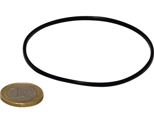 Schwarzer O-Ring neben einer Ein-Euro-Münze