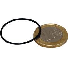 Dichtung JBL für CO2 Count
