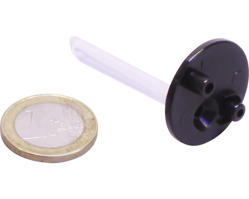 Dosierpipette neben einer Ein-Euro-Münze