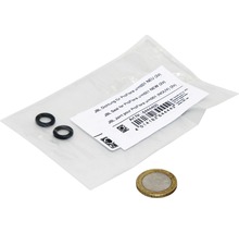 Dichtung JBL ProFlora u/m001 2 Stück