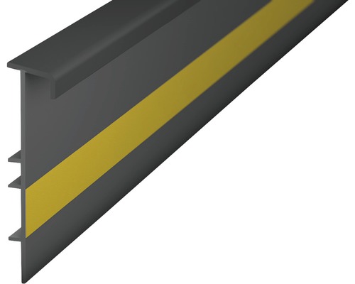 Prinz Teppichleiste Einklebeleiste mit Steg dunkelgrau 55x2500 mm Garagen Dichtungsprofil mit Markierung