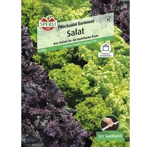 Sperli Pflücksalat Sortiment Salat mit Saatband für mehrfache Ernte