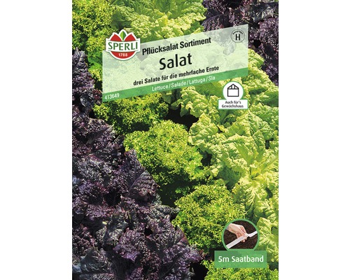 Sperli Pflücksalat Sortiment Salat mit Saatband für mehrfache Ernte
