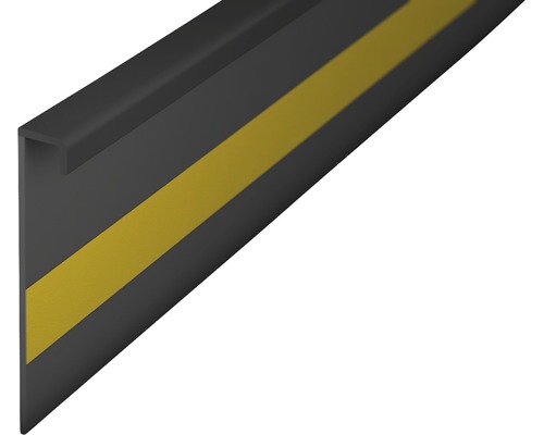Prinz Teppichleiste Einklebeleiste ohne Steg dunkelgrau 50x2500 mm Rammschutzprofil mit Markierung