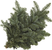 Nordmanntanne Tannengrün zum Stecken