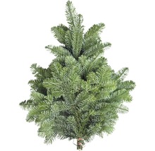 Nordmanntanne zum selbst Dekorieren