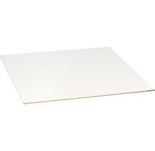 Dünn-MDF Platte einseitig weiß 2440x1220x3 mm (Zuschnitt online reservierbar)-thumb-1