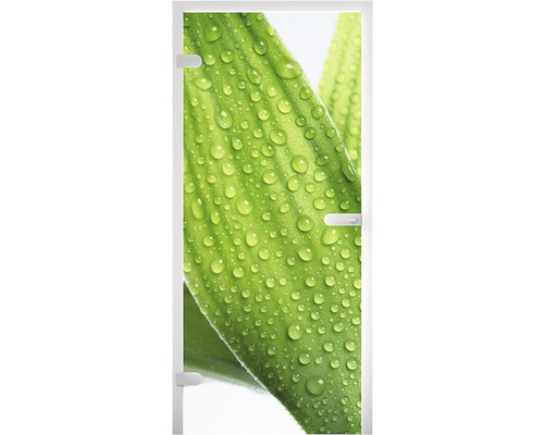 Glastür mit Motiv eines Blattes mit Wassertropfen