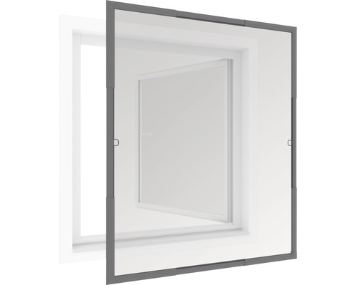 Insektenschutzgitter vor einem Fenster