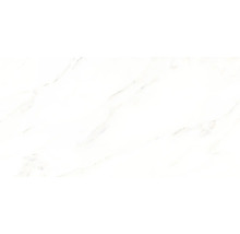 Feinsteinzeug Wand- und Bodenfliese Premium Calacatta glasiert poliert 58 x 118 cm