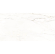 Feinsteinzeug Wand- und Bodenfliese Premium Calacatta glasiert poliert 58 x 118 cm