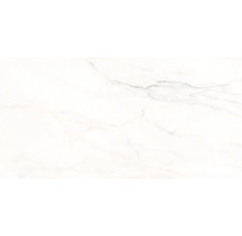Feinsteinzeug Wand- und Bodenfliese Premium Calacatta glasiert poliert 58 x 118 cm