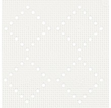 Duscheinlage spirella Alaska 55 x 55 cm weiß-thumb-0