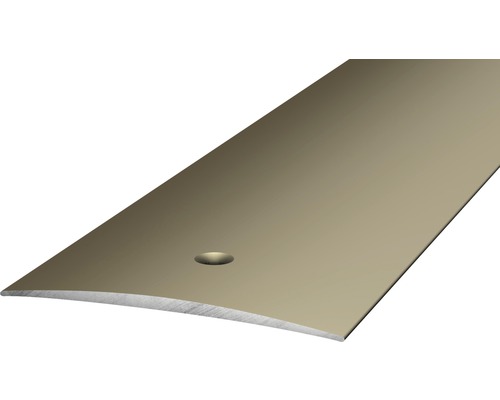 Prinz Übergangsprofil Alu Edelstahl matt gelocht 50 x 2700 mm Metallische Sockelleiste mit Bohrloch