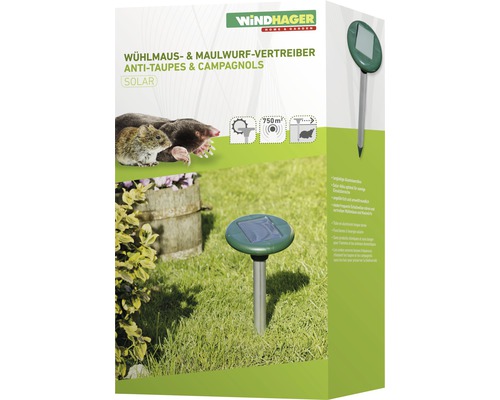 Windhager Wühlmaus- & Maulwurfvertreiber Solar Tiervertreiber - kaufen bei  Do it + Garden Migros