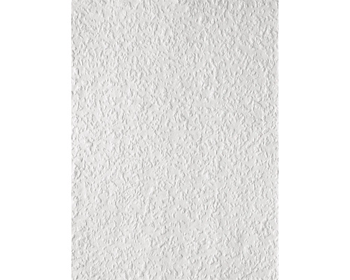 Erfurt Papier-Rauhfaser 1003234 Avantgarde 20x0,53 m Weiße Raufasertapete mit grober Struktur