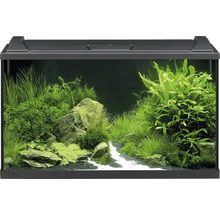 Aquarium Set EHEIM aquaproLED 126 mit LED-Beleuchtung, Filter, Heizer, Thermometer, Fangnetz ohne Unterschrank schwarz ca. 126 L 80 x 45 x 35 cm
