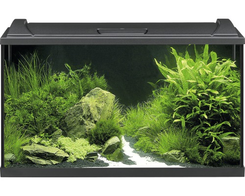 Aquarium EHEIM aquastar 54 mit LED-Beleuchtung