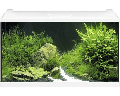 Aquarium Eheim 112Liter discount Komplett, alles für Aquascape