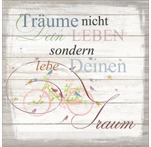 Dekoratives Wandbild mit Fahrrad und Spruch auf Holzoptik