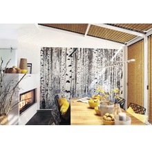 Helles Esszimmer mit Kamin, Holztisch und Birkenwald-Tapete