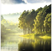 Landschaft mit See und Bäumen