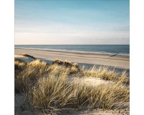 Strandhafer auf Sanddünen mit Meerblick
