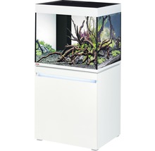 Aquariumkombination mit Unterschrank, ausgestattet mit Pflanzen und Dekoration