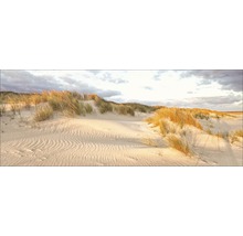 Dünenlandschaft mit Sand und Gras