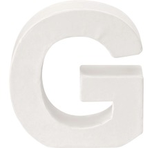 Dekorativer Buchstabe G