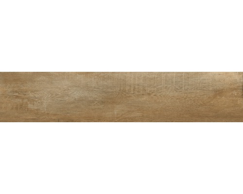 Wand- und Bodenfliese Tradizione Miele 24 x 120 x 0,85 cm