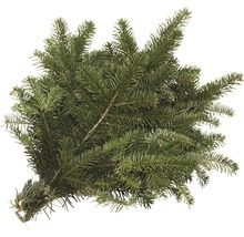 Nordmanntanne Tannengrün gebunden