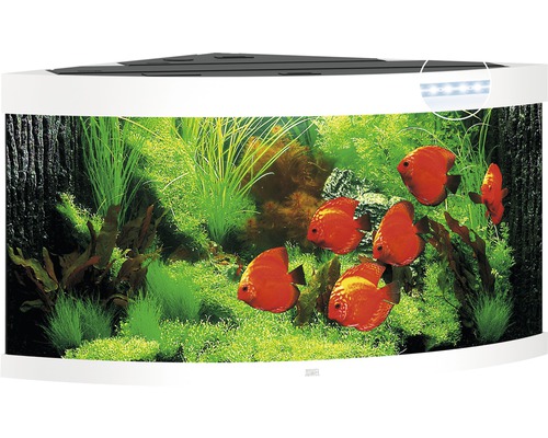 Aquarium JUWEL Trigon 350 mit LED-Beleuchtung, Filter, Heizer ohne Unterschrank weiß