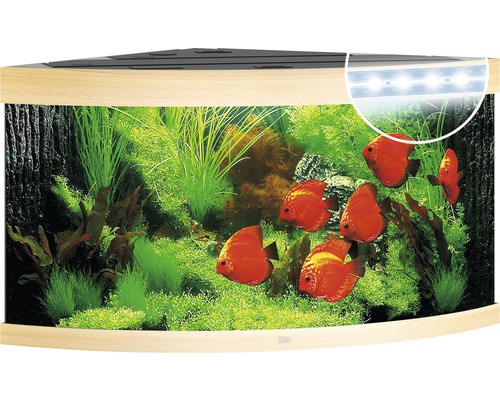 Aquarium JUWEL Trigon 350 mit LED-Beleuchtung, Filter, Heizer ohne Unterschrank helles Holz