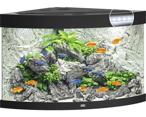 Aquarium JUWEL Trigon 190 mit LED-Beleuchtung, Filter, Heizer ohne Unterschrank schwarz