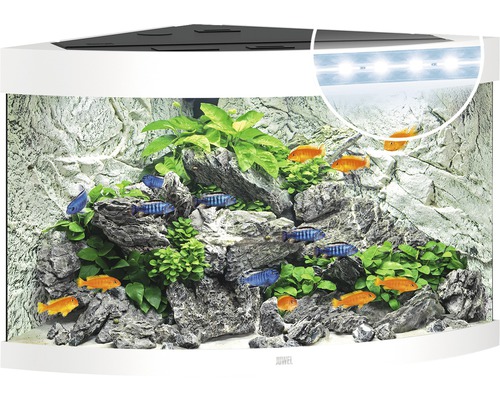 Aquarium JUWEL Trigon 190 mit LED-Beleuchtung, Filter, Heizer ohne Unterschrank weiß